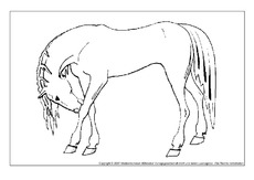 Pferd-5.pdf